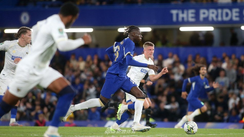 典型代表 典型代表